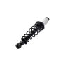 FCS Struts 1345596L Suspension Strut and Coil Spring Assembly