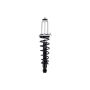 FCS Struts 1345596R Suspension Strut and Coil Spring Assembly