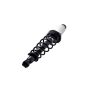 FCS Struts 1345596R Suspension Strut and Coil Spring Assembly