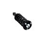 FCS Struts 1345681 Suspension Strut and Coil Spring Assembly