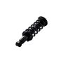 FCS Struts 1345681 Suspension Strut and Coil Spring Assembly