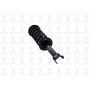 FCS Struts 1345685L Suspension Strut and Coil Spring Assembly
