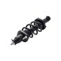 FCS Struts 1345688L Suspension Strut and Coil Spring Assembly