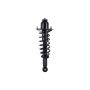 FCS Struts 1345689L Suspension Strut and Coil Spring Assembly