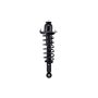 FCS Struts 1345689R Suspension Strut and Coil Spring Assembly