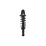 FCS Struts 1345742L Suspension Strut and Coil Spring Assembly