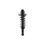 FCS Struts 1345742L Suspension Strut and Coil Spring Assembly