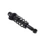 FCS Struts 1345742L Suspension Strut and Coil Spring Assembly