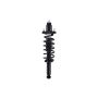 FCS Struts 1345750 Suspension Strut and Coil Spring Assembly