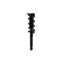 FCS Struts 1345760L Suspension Strut and Coil Spring Assembly