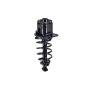 FCS Struts 1345782L Suspension Strut and Coil Spring Assembly