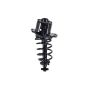 FCS Struts 1345782L Suspension Strut and Coil Spring Assembly