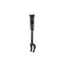 FCS Struts 1345785L Suspension Strut and Coil Spring Assembly