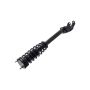 FCS Struts 1345785R Suspension Strut and Coil Spring Assembly
