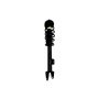 FCS Struts 1345791 Suspension Strut and Coil Spring Assembly
