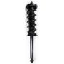 FCS Struts 1345794 Suspension Strut and Coil Spring Assembly