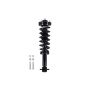 FCS Struts 1345816L Suspension Strut and Coil Spring Assembly