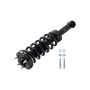 FCS Struts 1345816L Suspension Strut and Coil Spring Assembly