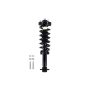 FCS Struts 1345816R Suspension Strut and Coil Spring Assembly