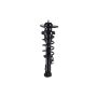 FCS Struts 1345820L Suspension Strut and Coil Spring Assembly