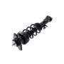 FCS Struts 1345820L Suspension Strut and Coil Spring Assembly