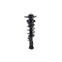 FCS Struts 1345820R Suspension Strut and Coil Spring Assembly