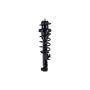 FCS Struts 1345820R Suspension Strut and Coil Spring Assembly