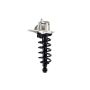 FCS Struts 1345823L Suspension Strut and Coil Spring Assembly