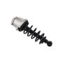 FCS Struts 1345823L Suspension Strut and Coil Spring Assembly