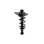 FCS Struts 1345826L Suspension Strut and Coil Spring Assembly