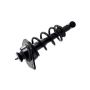 FCS Struts 1345826L Suspension Strut and Coil Spring Assembly