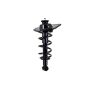 FCS Struts 1345826R Suspension Strut and Coil Spring Assembly
