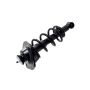 FCS Struts 1345826R Suspension Strut and Coil Spring Assembly