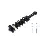 FCS Struts 1345837L Suspension Strut and Coil Spring Assembly
