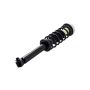 FCS Struts 1345842L Suspension Strut and Coil Spring Assembly