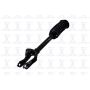 FCS Struts 1345906L Suspension Strut and Coil Spring Assembly