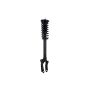 FCS Struts 1345906L Suspension Strut and Coil Spring Assembly