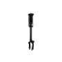 FCS Struts 1345906R Suspension Strut and Coil Spring Assembly