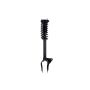 FCS Struts 1345906R Suspension Strut and Coil Spring Assembly