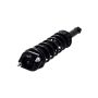 FCS Struts 1345919 Suspension Strut and Coil Spring Assembly