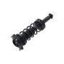 FCS Struts 1345920 Suspension Strut and Coil Spring Assembly