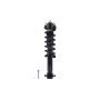 FCS Struts 1345933 Suspension Strut and Coil Spring Assembly
