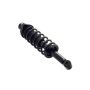 FCS Struts 1345934 Suspension Strut and Coil Spring Assembly
