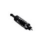 FCS Struts 1345935 Suspension Strut and Coil Spring Assembly