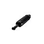 FCS Struts 1345935 Suspension Strut and Coil Spring Assembly