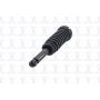 FCS Struts 1345936 Suspension Strut and Coil Spring Assembly
