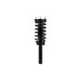 FCS Struts 1345938 Suspension Strut and Coil Spring Assembly