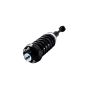 FCS Struts 1345950 Suspension Strut and Coil Spring Assembly