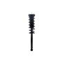 FCS Struts 1345954L Suspension Strut and Coil Spring Assembly