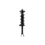 FCS Struts 1345955L Suspension Strut and Coil Spring Assembly